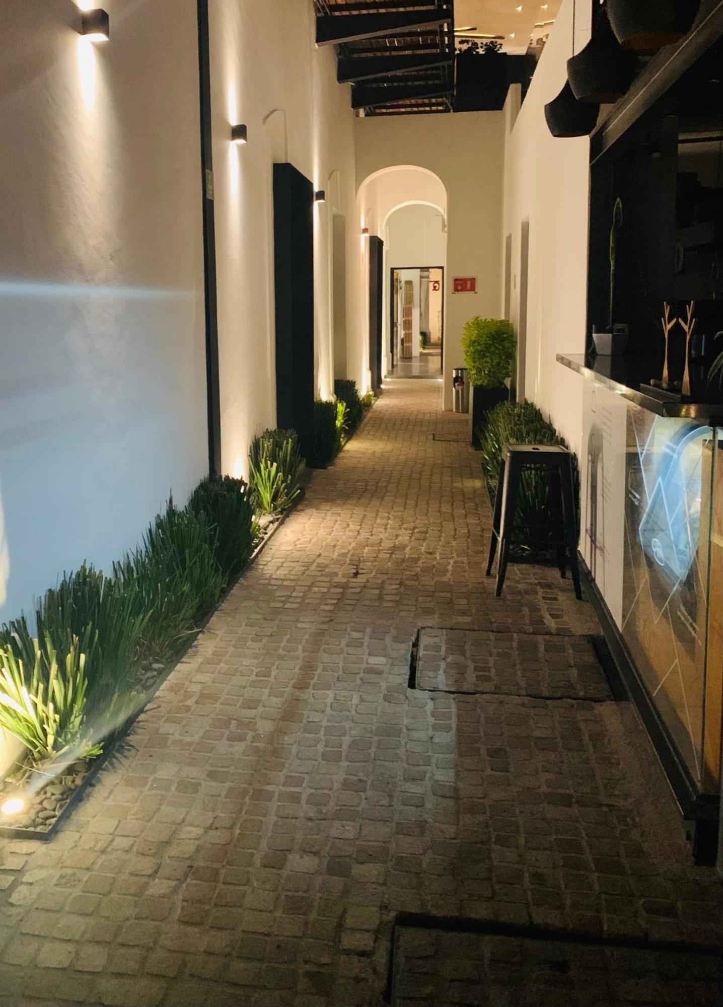 Hotel Boutique Mo17 Querétaro Dış mekan fotoğraf